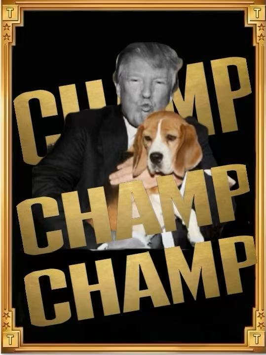 CHAMP Meme